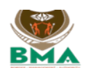 Border Management Authority